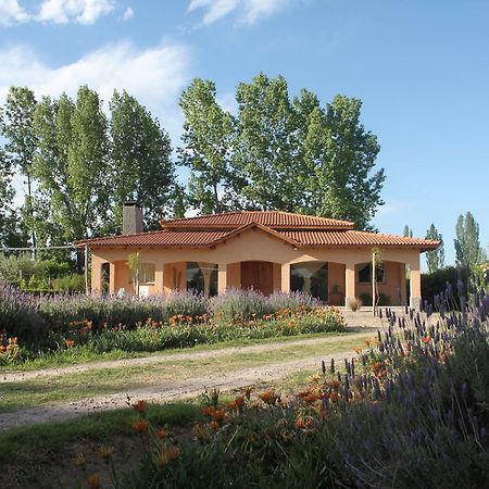 فيلا Casona Aventurados Lujan de Cuyo المظهر الخارجي الصورة